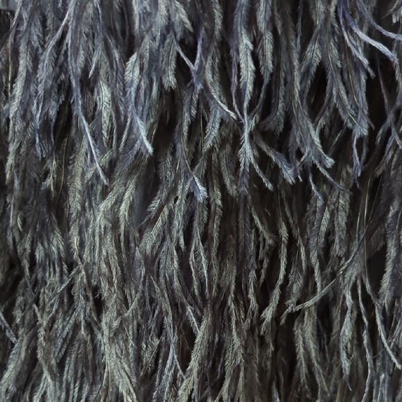 Chic Black Feathered Dress - Picture 2 of 4